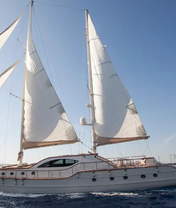 Sailing Boat Sailing Department