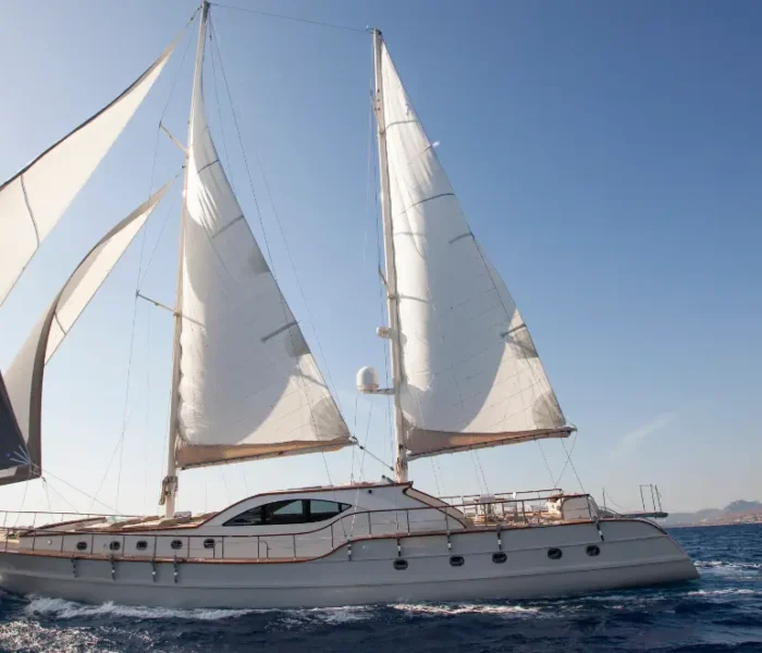 Sailing Boat Sailing Department