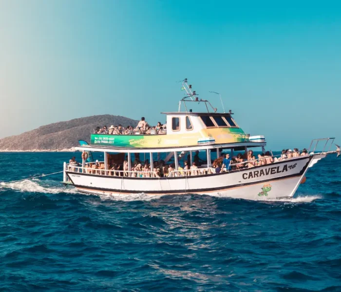What license or license is required to travel by boat