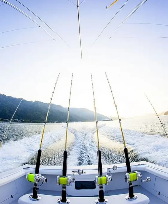 Fishing Techniques with a Sailing Boat